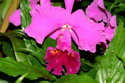IMG_3809ps'.jpg