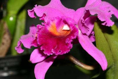 IMG_3815ps'.jpg