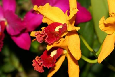 IMG_3818ps'.jpg