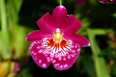 IMG_3824ps'.jpg