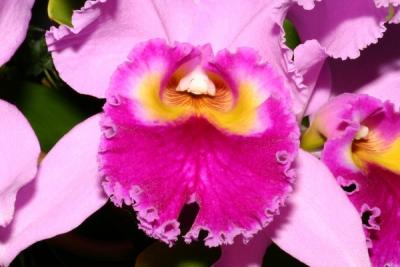 IMG_3831ps'.jpg