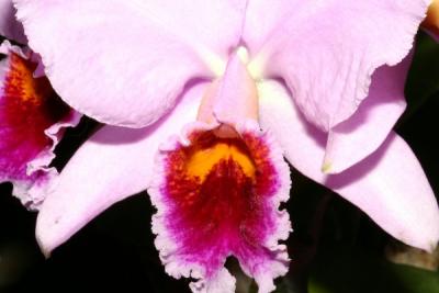 IMG_3835ps'.jpg