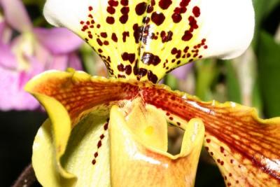 IMG_3841ps'.jpg