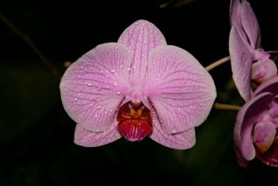 IMG_3849ps'.jpg