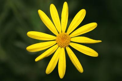 IMG_3852ps'.jpg