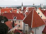 Old Town Roofs