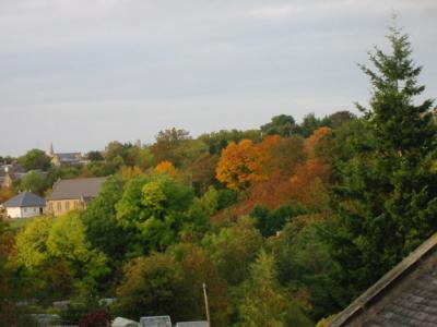 Autumn colours Midlothian.jpg