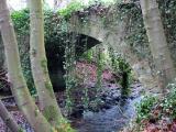 Gore glen woodland park.jpg