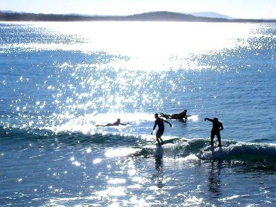 Noosa Surfers