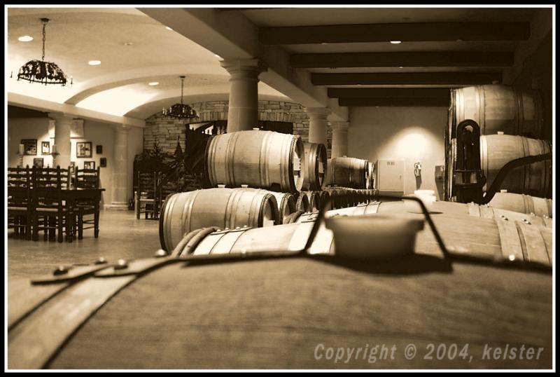 Wine-Maturing-in-Barrels-3
