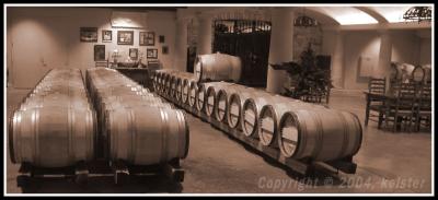 Wine-Maturing-in-Barrels-1