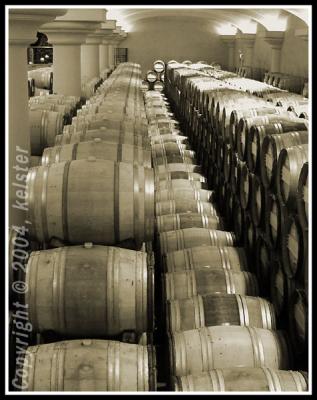 Wine-Maturing-in-Barrels-2