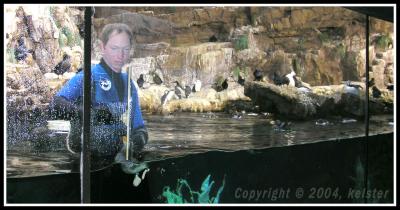 u38/kelster/medium/25050665.PenguinJanitor.jpg