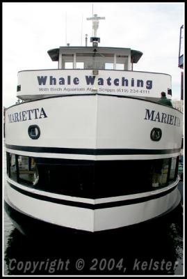 WhaleWatchingBoat