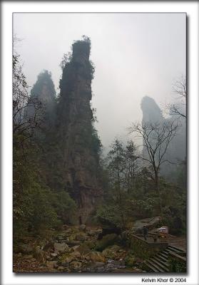 u38/kelvin_khor/medium/25027717.CRW_4193web.jpg