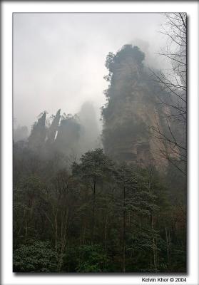 u38/kelvin_khor/medium/25027718.CRW_4194web.jpg