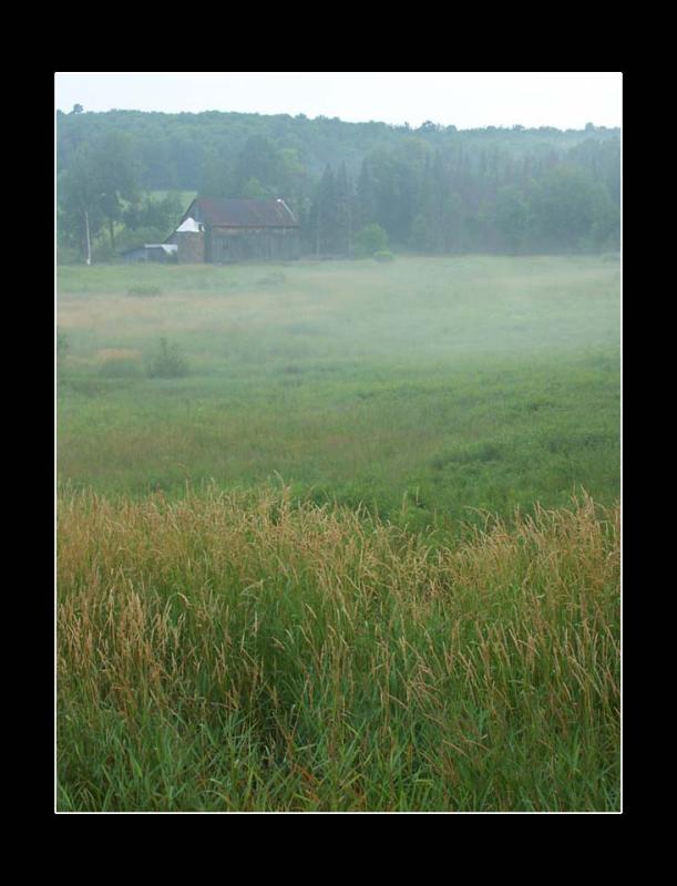 Farm in the Morning Mist