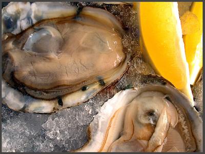 On the half shell by Francesco Tonelli