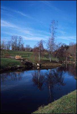 Reflecting Blue by David Fink