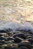 Westward Ho! by John Denton