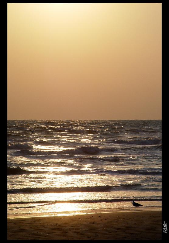 orange sunrise 2