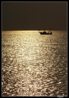 dark sky golden sea