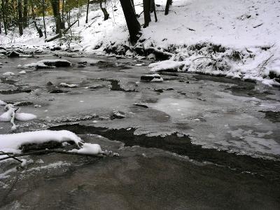 The January Freeze Begins