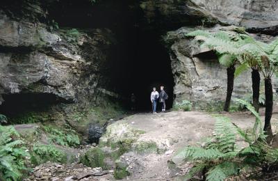 Glow Worm Tunnel 1992