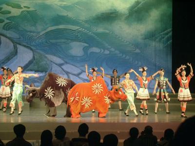 A wonderful circus performance, Guilin