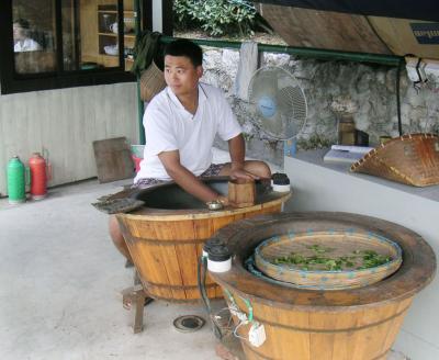 Demonstration of tea processing