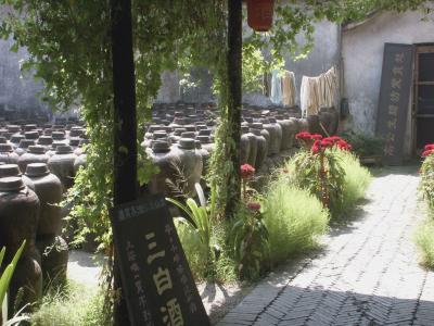 Album 9: Wuzhen, an ancient canal town