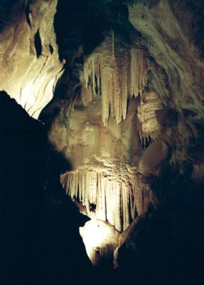 In the River Cave, Jenolan