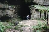 Glow Worm Tunnel 1992