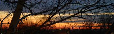 View from my Balcony.jpg