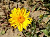 IMG_1141.jpg