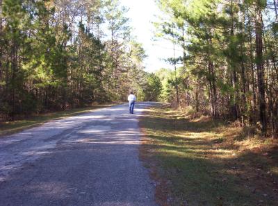 Picture_0868.JPG