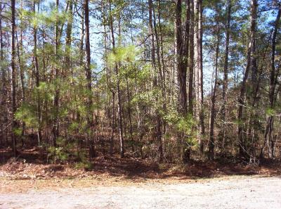 Picture_0870.JPG