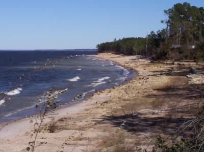 Picture_0876.JPG