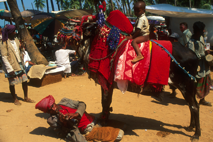 peopleGoa1088_man+cow.jpg
