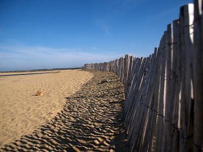 Les dunes d Etel