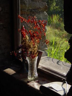 DeadFlowers.JPG