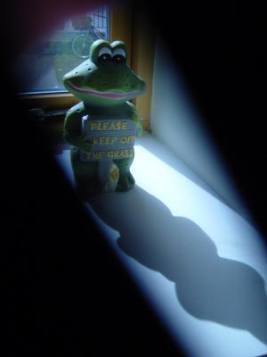SayNoToFrogs.JPG