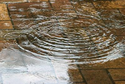 Ripples of Rain