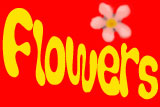 <Flowers>