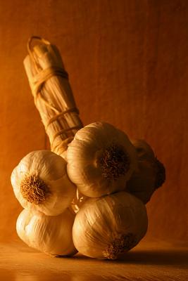 phallic garlic