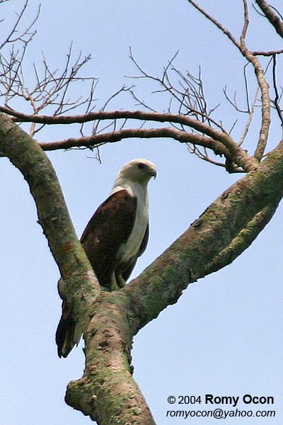 IMG_8289.jpg