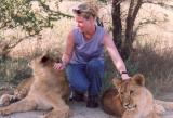 Tame lions & me