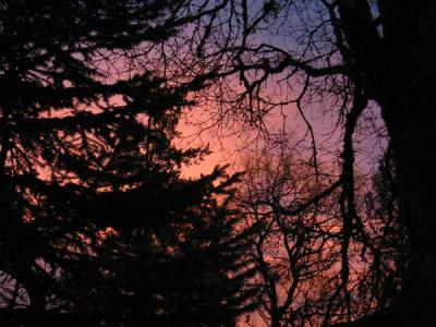 pink-sunrise.jpg