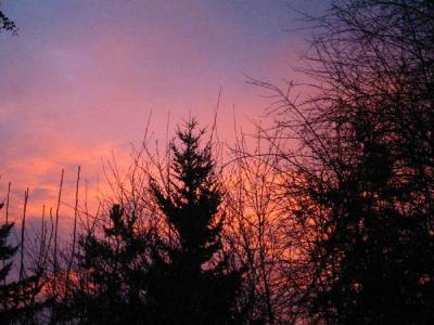 pink-sunrise3.jpg