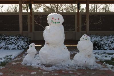 Snowmen -- not part of the wedding but they decided to tag along.